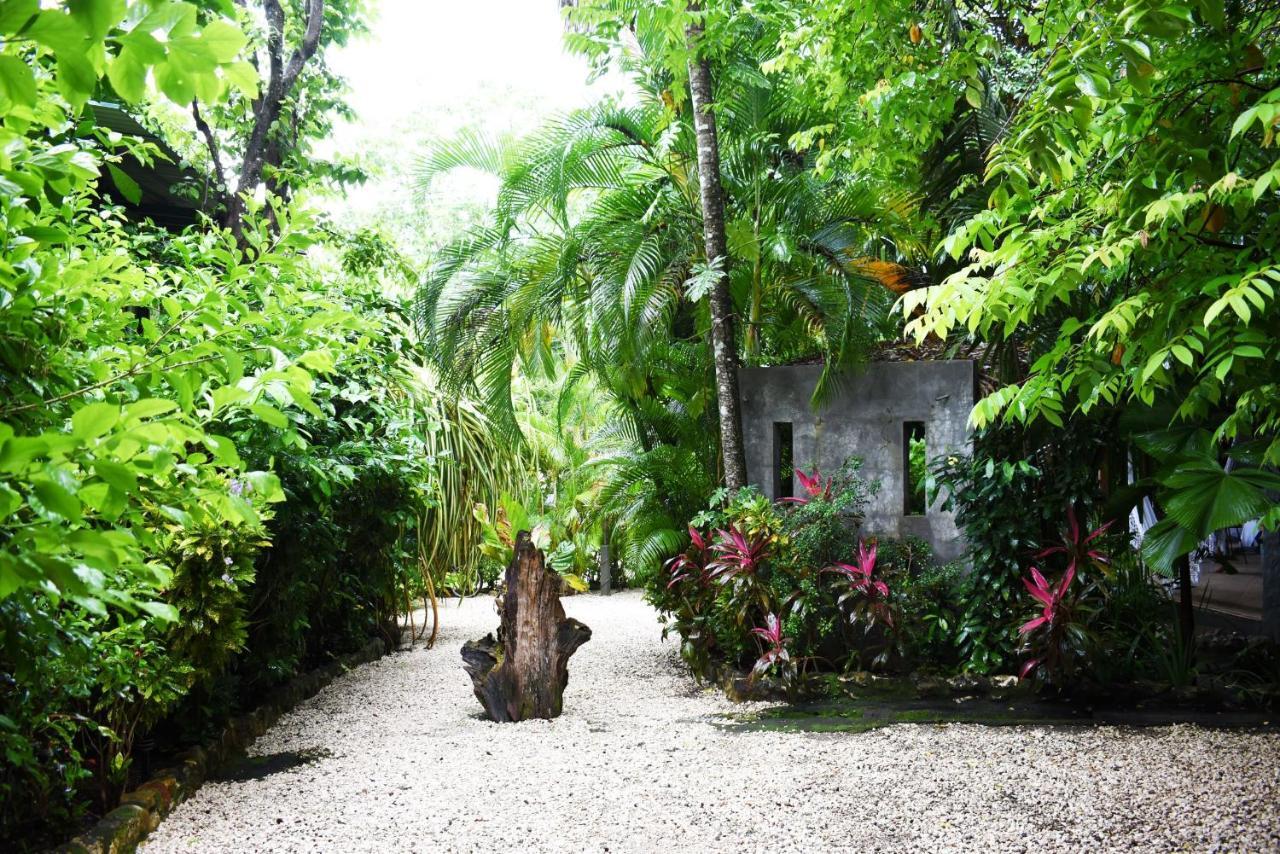 Pachamama Lodge Playa Santa Teresa  Exterior foto